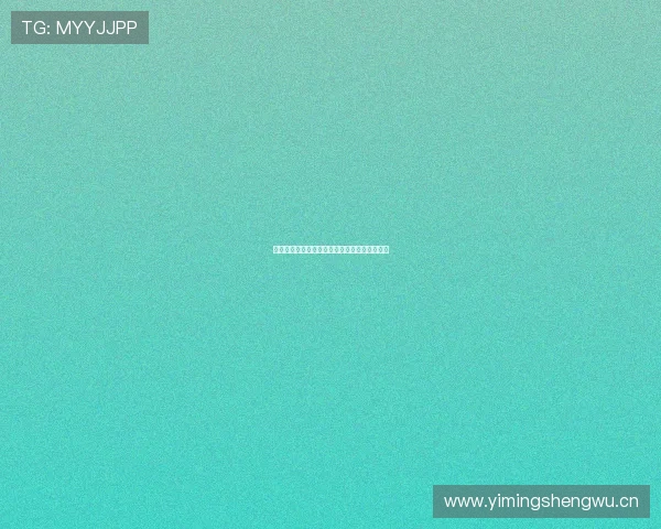 光速体育引领全民健身潮流打造未来运动新生态