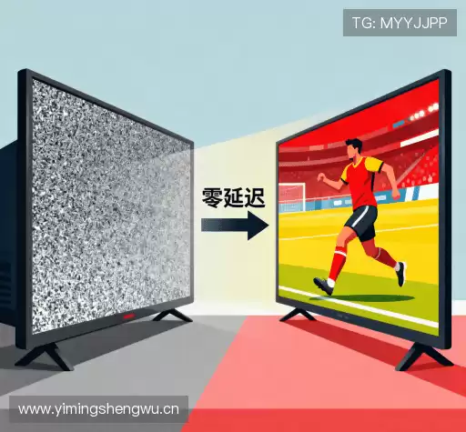 我们的核心竞争力